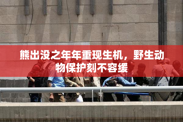 熊出没之年年重现生机，野生动物保护刻不容缓