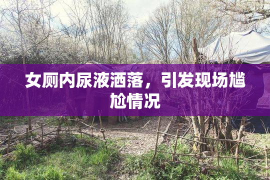 女厕内尿液洒落，引发现场尴尬情况