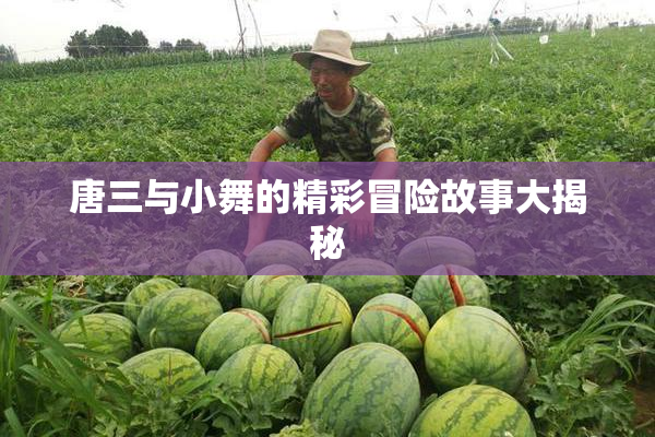 唐三与小舞的精彩冒险故事大揭秘