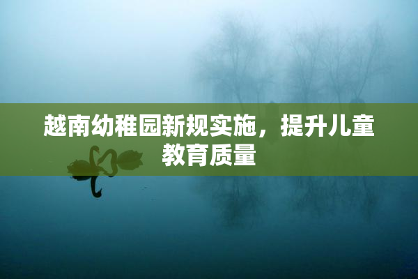 越南幼稚园新规实施，提升儿童教育质量