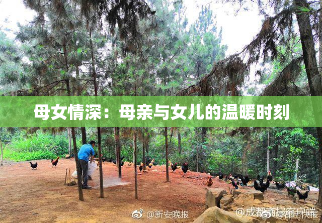 母女情深：母亲与女儿的温暖时刻