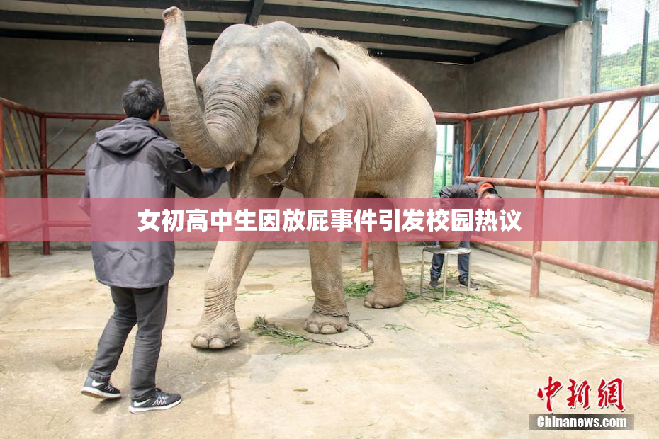 女初高中生因放屁事件引发校园热议