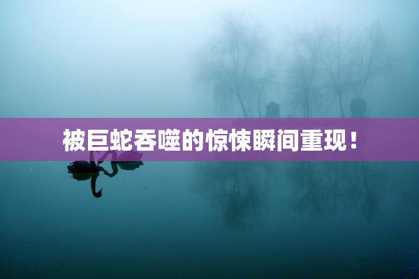 被巨蛇吞噬的惊悚瞬间重现！