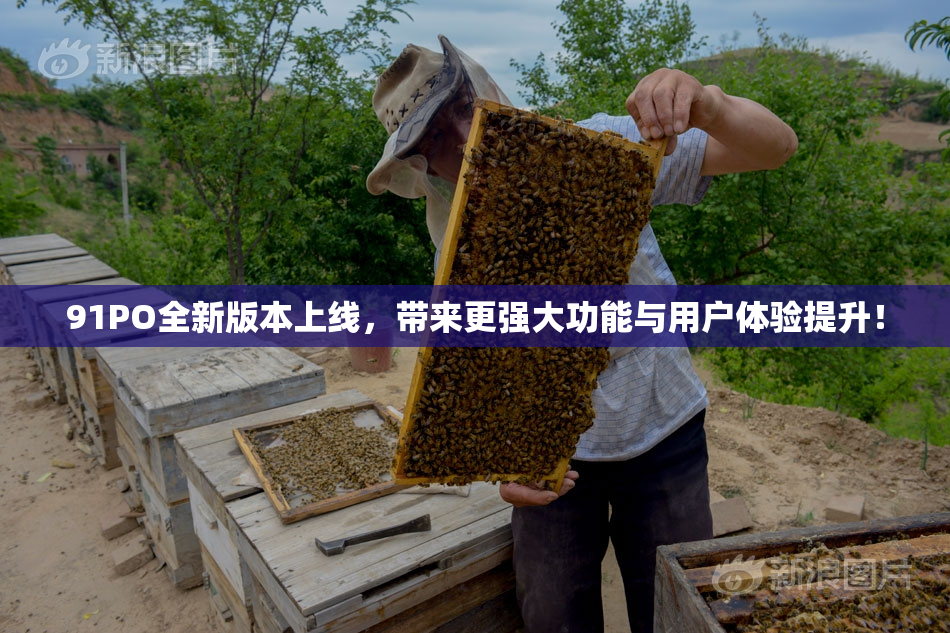 91PO全新版本上线，带来更强大功能与用户体验提升！