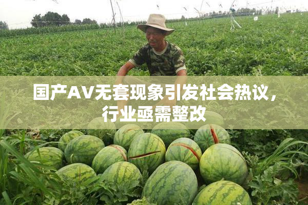 国产AV无套现象引发社会热议，行业亟需整改