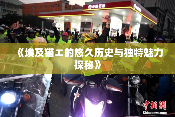 《埃及猫エ的悠久历史与独特魅力探秘》