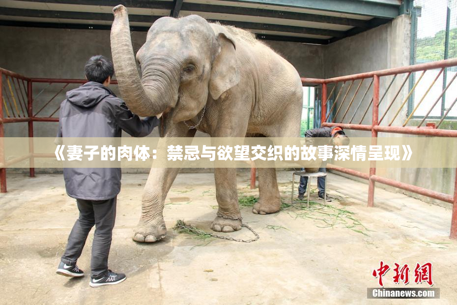 《妻子的肉体：禁忌与欲望交织的故事深情呈现》