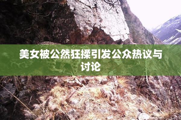 美女被公然狂揉引发公众热议与讨论