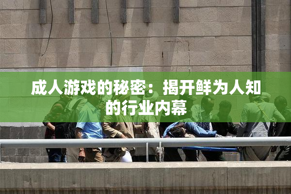 成人游戏的秘密：揭开鲜为人知的行业内幕