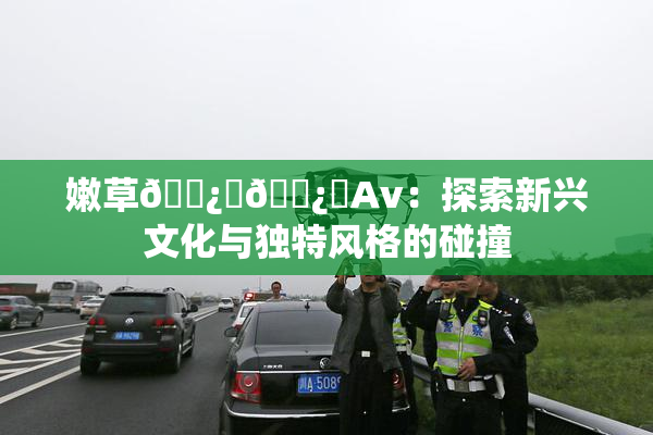 嫩草🌿‌🌿‌Av：探索新兴文化与独特风格的碰撞