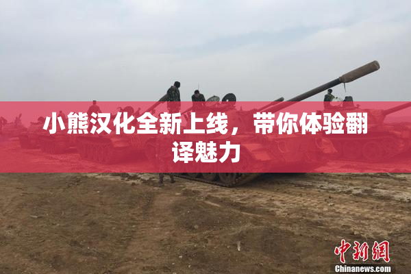 小熊汉化全新上线，带你体验翻译魅力