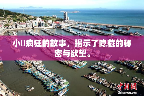 小泬疯狂的故事，揭示了隐藏的秘密与欲望。