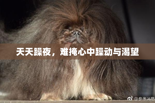 天天躁夜，难掩心中躁动与渴望