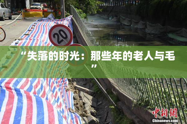“失落的时光：那些年的老人与毛”