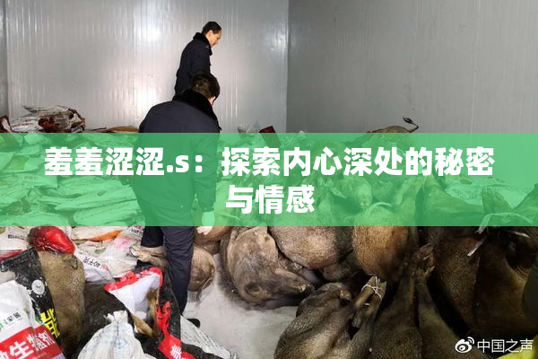 羞羞涩涩.s：探索内心深处的秘密与情感
