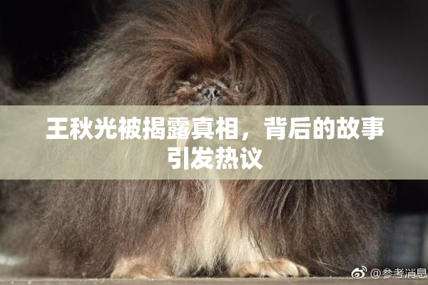 王秋光被揭露真相，背后的故事引发热议