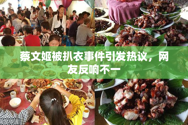 蔡文姬被扒衣事件引发热议，网友反响不一