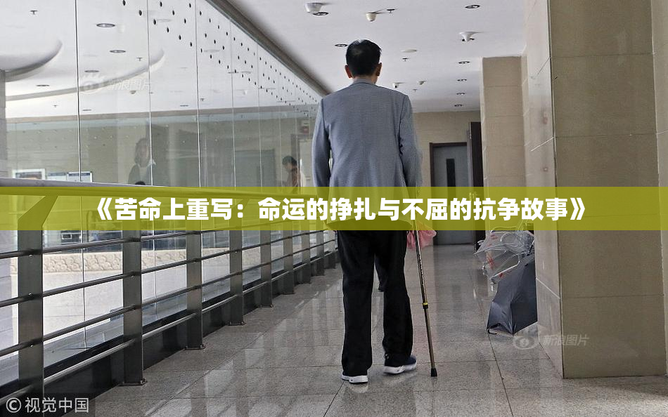 《苦命上重写：命运的挣扎与不屈的抗争故事》
