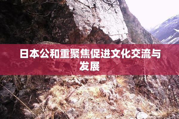 日本公和重聚焦促进文化交流与发展