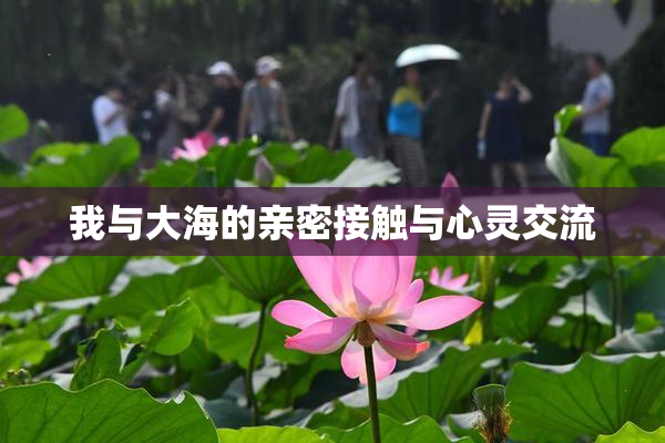 我与大海的亲密接触与心灵交流