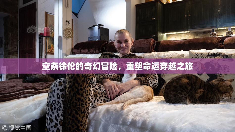 空条徐伦的奇幻冒险，重塑命运穿越之旅