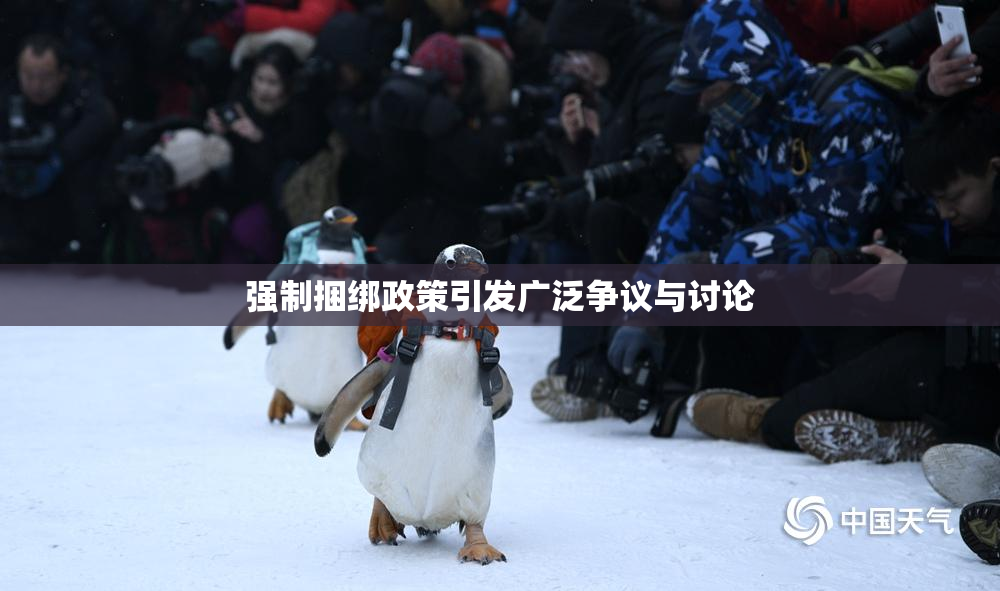 强制捆绑政策引发广泛争议与讨论
