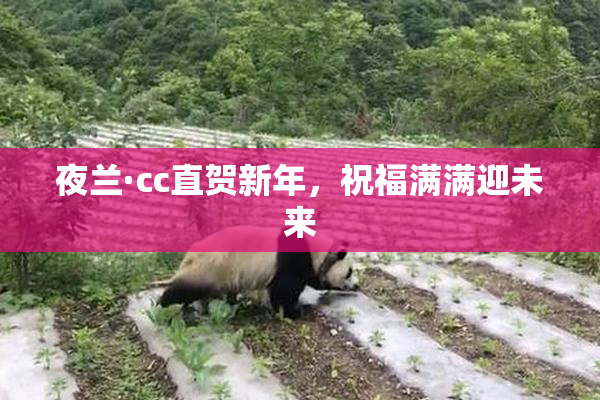 夜兰·cc直贺新年，祝福满满迎未来