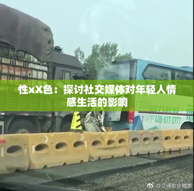性xX色：探讨社交媒体对年轻人情感生活的影响