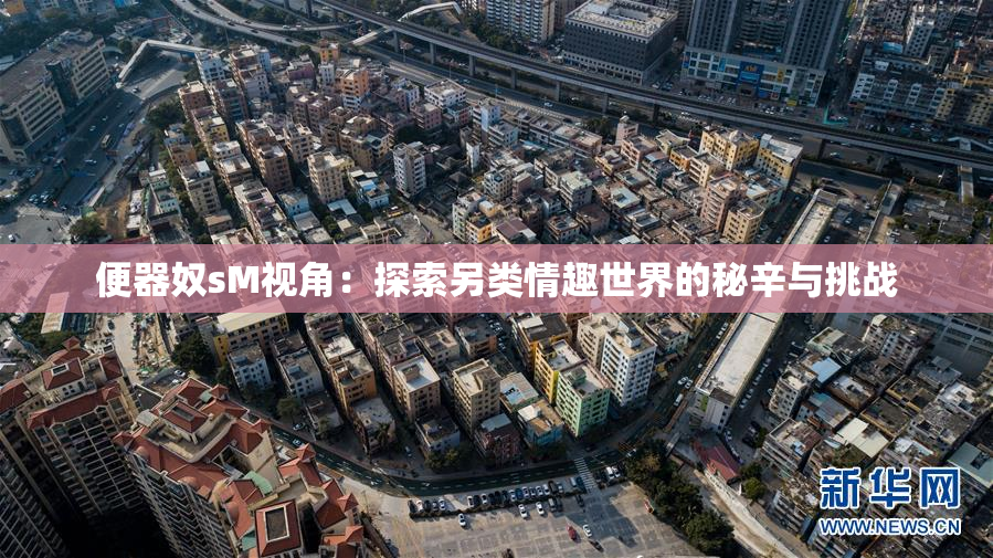 便器奴sM视角：探索另类情趣世界的秘辛与挑战