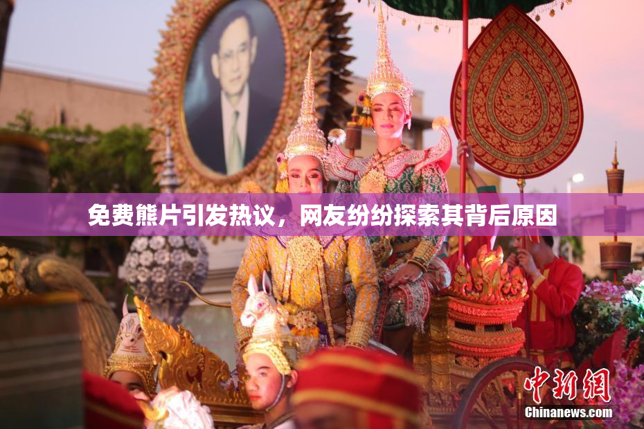 免费熊片引发热议，网友纷纷探索其背后原因