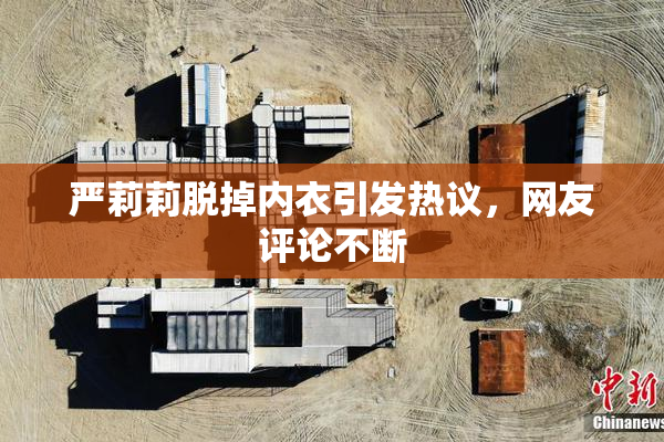 严莉莉脱掉内衣引发热议，网友评论不断