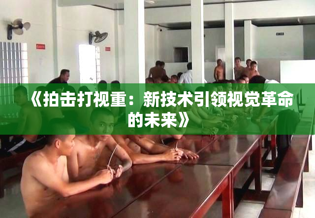 《拍击打视重：新技术引领视觉革命的未来》