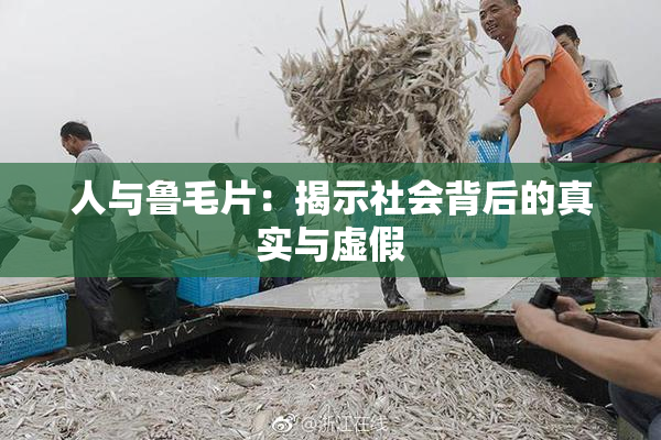 人与鲁毛片：揭示社会背后的真实与虚假