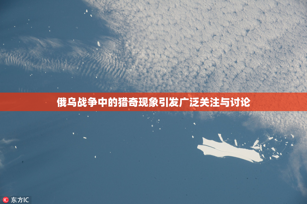 俄乌战争中的猎奇现象引发广泛关注与讨论