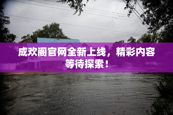 成欢阁官网全新上线，精彩内容等待探索！