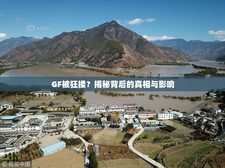GF被狂揉？揭秘背后的真相与影响