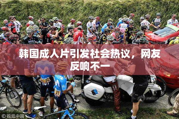 韩国成人片引发社会热议，网友反响不一