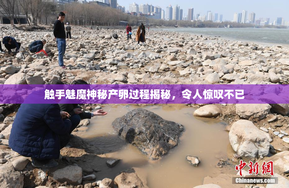 触手魅魔神秘产卵过程揭秘，令人惊叹不已