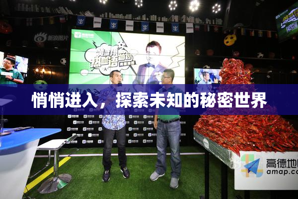 悄悄进入，探索未知的秘密世界
