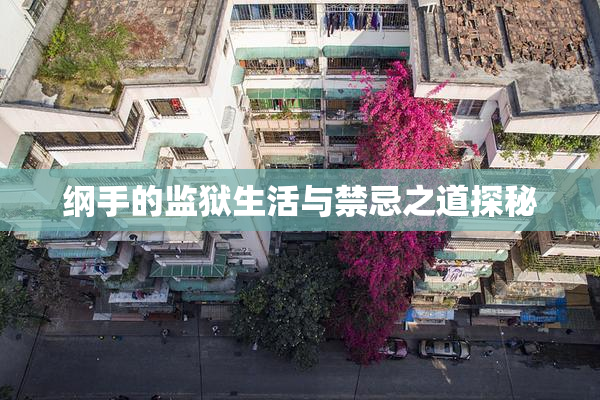 纲手的监狱生活与禁忌之道探秘
