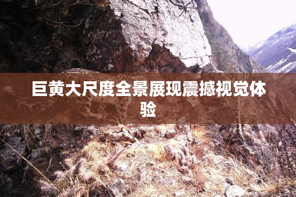巨黄大尺度全景展现震撼视觉体验