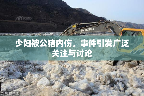少妇被公猪内伤，事件引发广泛关注与讨论