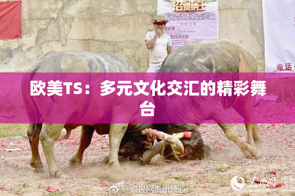 欧美TS：多元文化交汇的精彩舞台