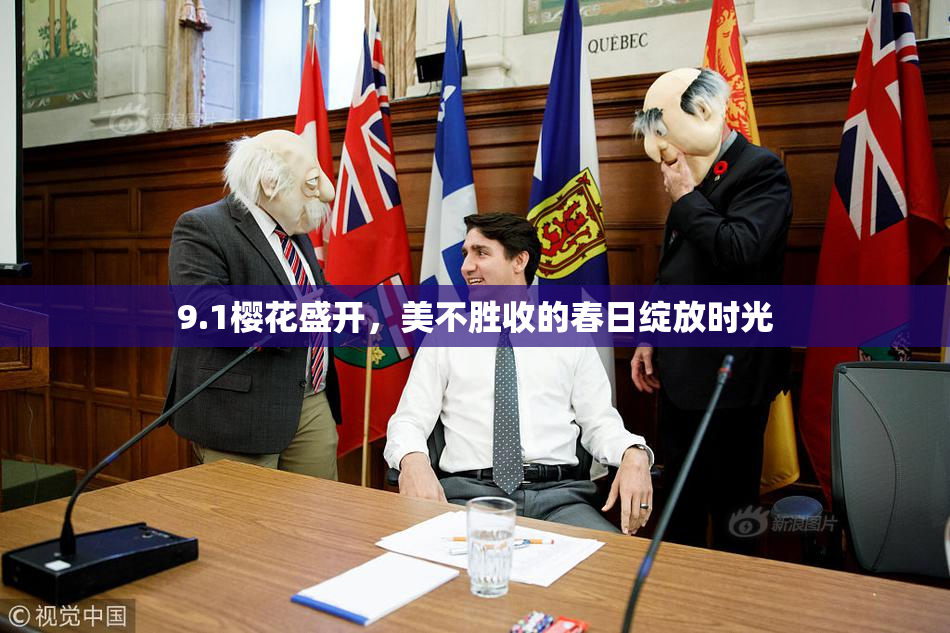9.1樱花盛开，美不胜收的春日绽放时光