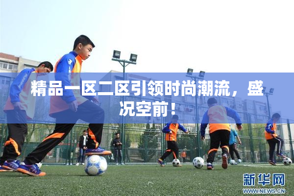 精品一区二区引领时尚潮流，盛况空前！