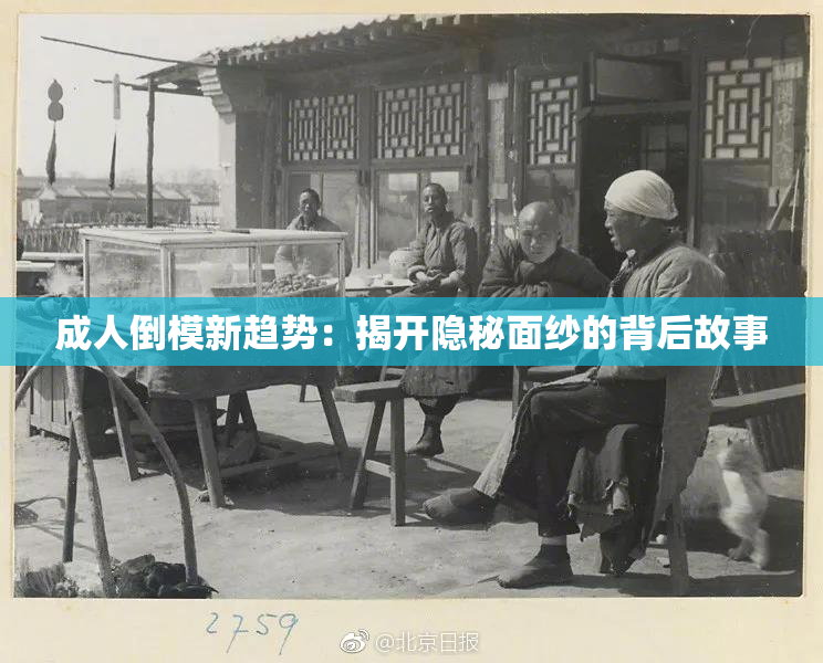 成人倒模新趋势：揭开隐秘面纱的背后故事