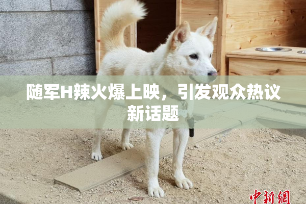 随军H辣火爆上映，引发观众热议新话题