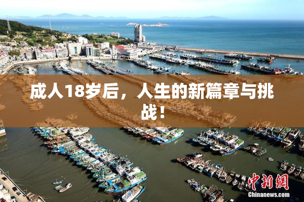 成人18岁后，人生的新篇章与挑战！