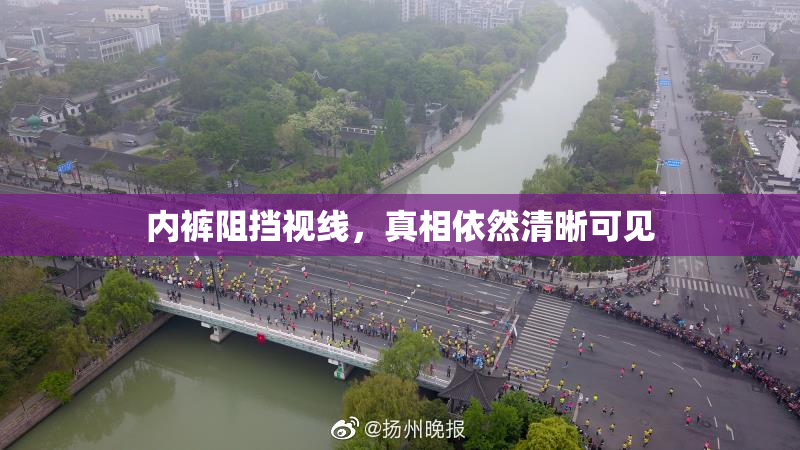 内裤阻挡视线，真相依然清晰可见