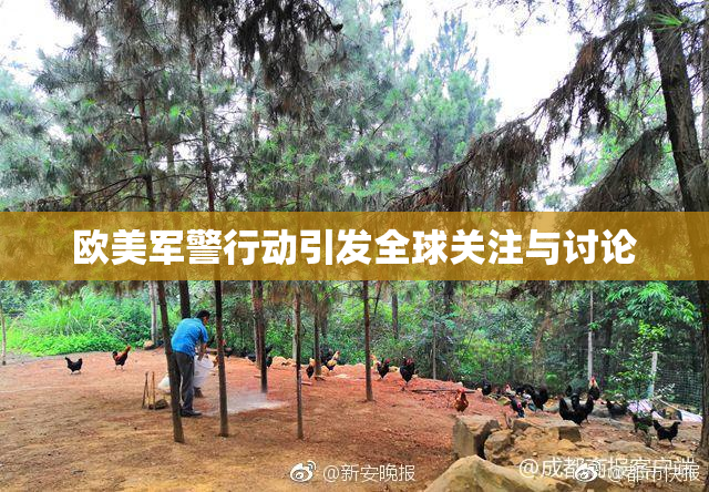 欧美军警行动引发全球关注与讨论